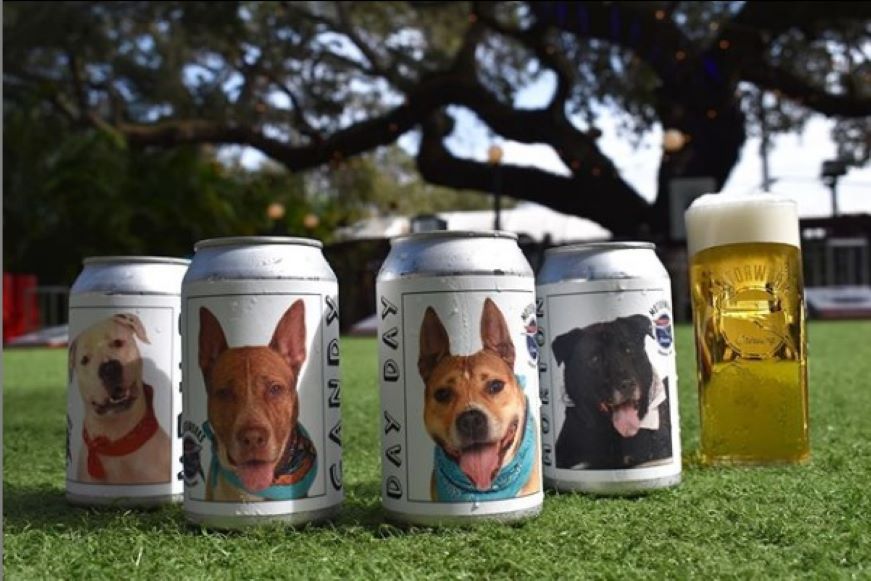 Impulsan la adopción de perros a través de latas de cerveza