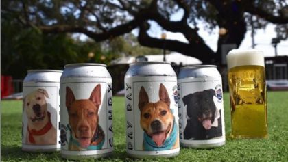 Impulsan la adopción de perros a través de latas de cerveza
