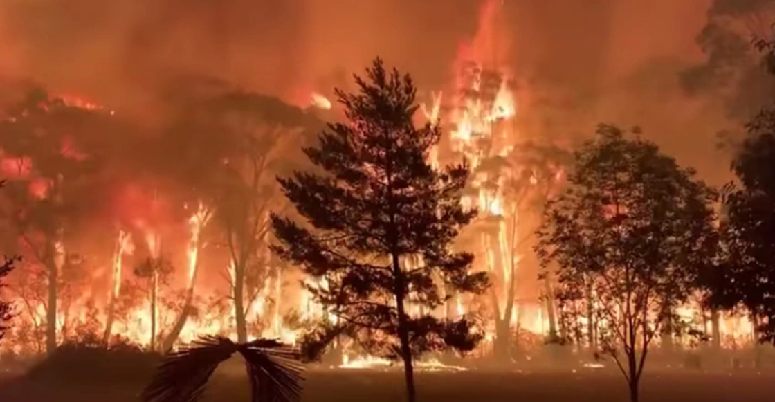 En imágenes: El antes y después de los devastadores incendios en Australia