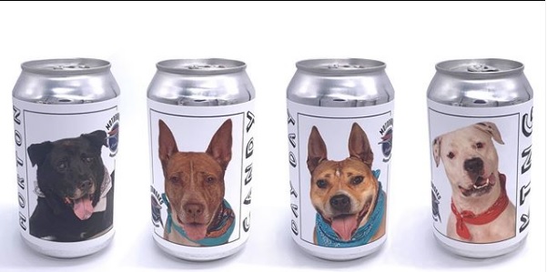 Impulsan la adopción de perros a través de latas de cerveza 
