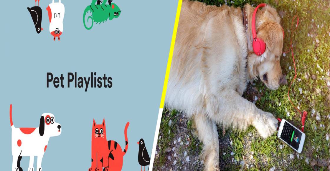 Spotify Pet Playlist, la nueva función de música para tus mascotas