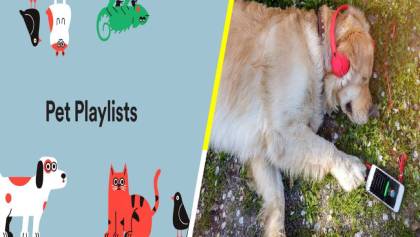 Spotify Pet Playlist, la nueva función de música para tus mascotas