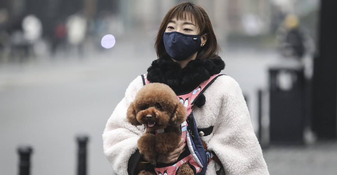 mascotas-coronavirus-china