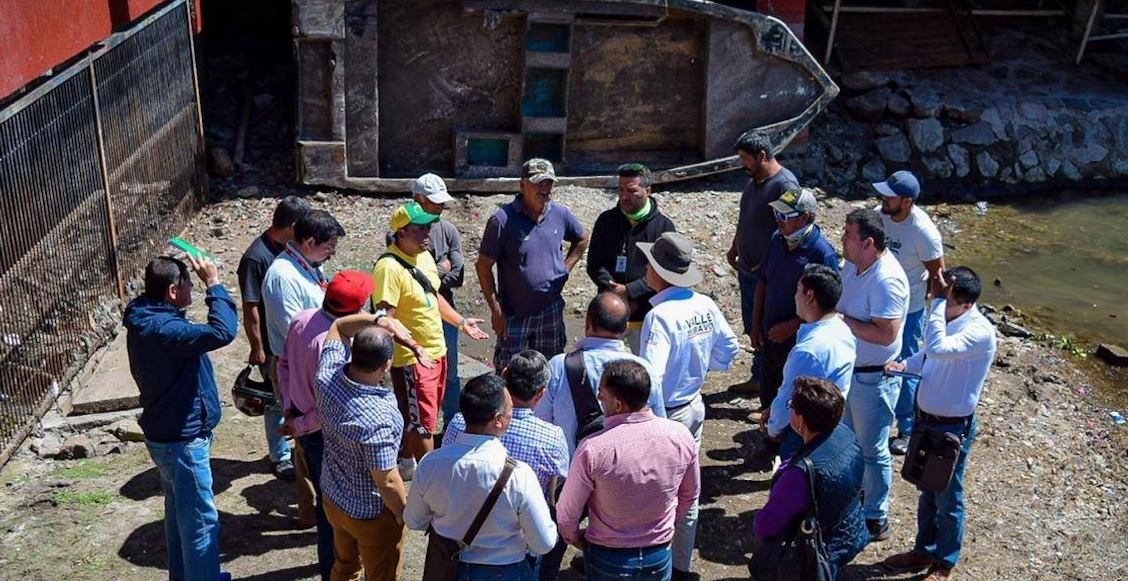 valle-de-bravo-felino-busqueda