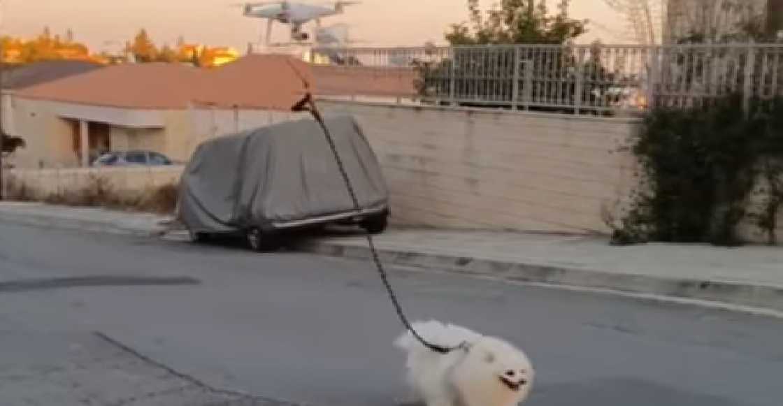 Evita violar cuarentena por coronavirus paseando a su perro con un dron