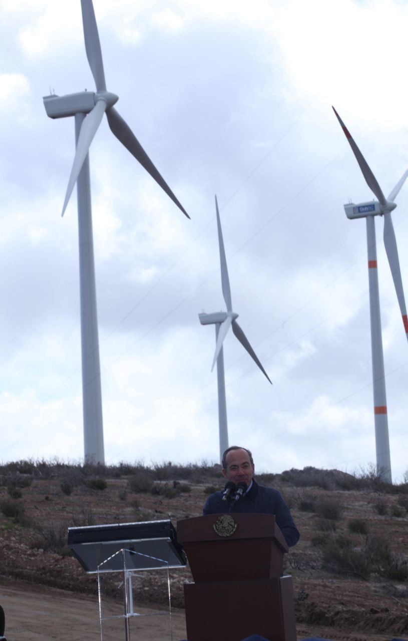 "No más permisos para afectar al medio ambiente": AMLO, tras criticar ‘ventiladores’ de La Rumorosa