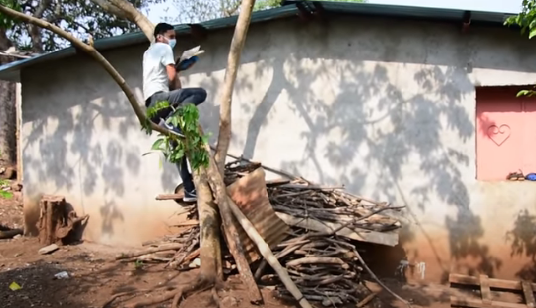 Este joven salvadoreño sube diariamente a un árbol para tomar sus clases en línea