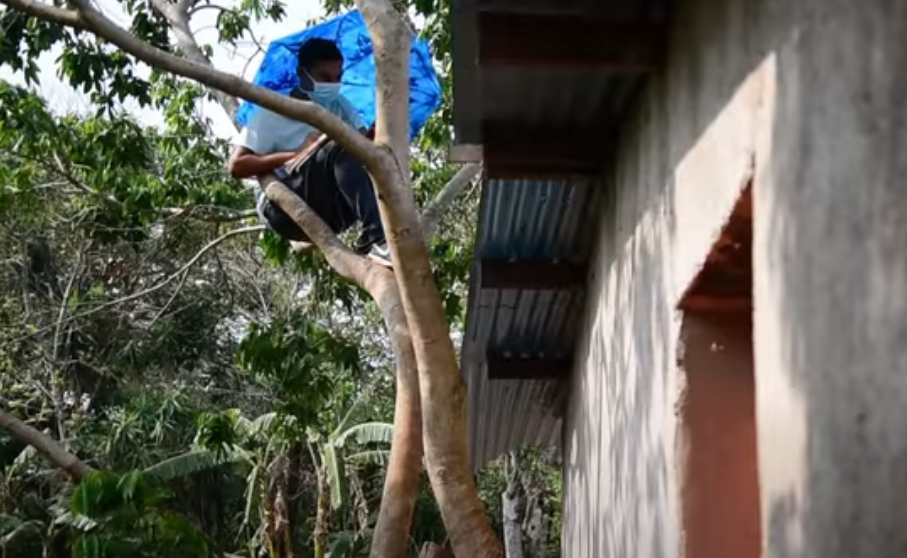 Un joven salvadoreño sin internet en casa sube a un árbol para tomar sus clases en línea