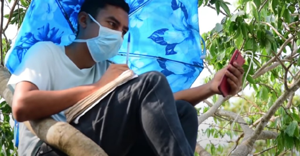 Un joven salvadoreño sin internet en casa sube a un árbol para tomar sus clases en línea