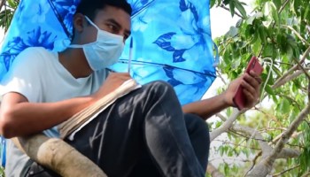 Un joven salvadoreño sin internet en casa sube a un árbol para tomar sus clases en línea