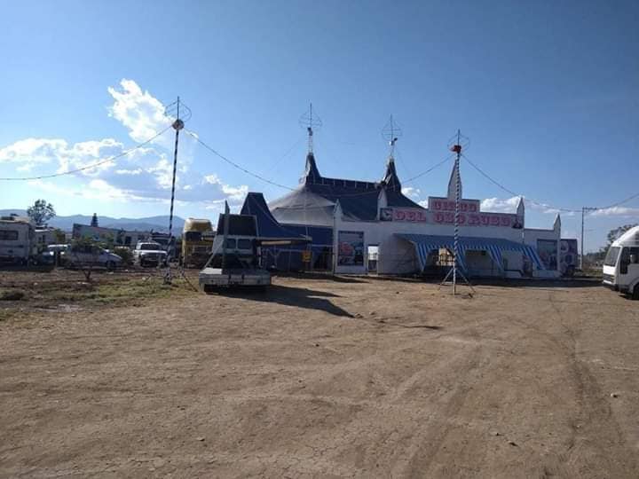 circo-oso-ruso-oaxaca