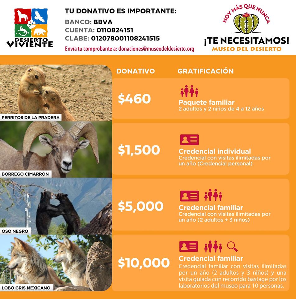 museo-desierto-donativos-coahuila