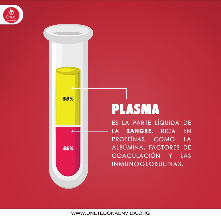 plasma-sangre-parte-líquida