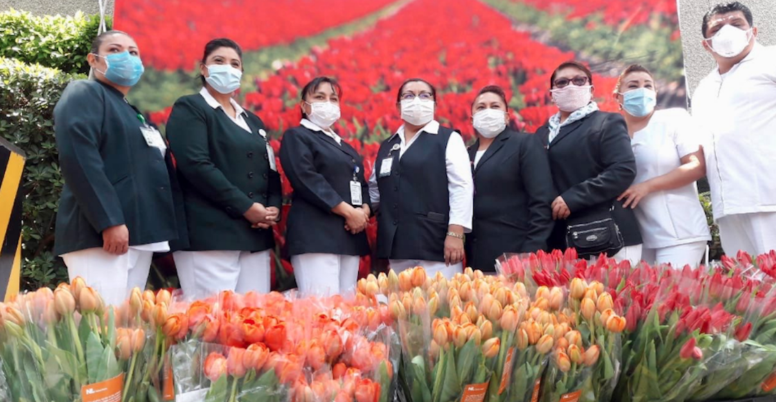 tulipanes-embajada-paises-bajos-mexico-enfermeras