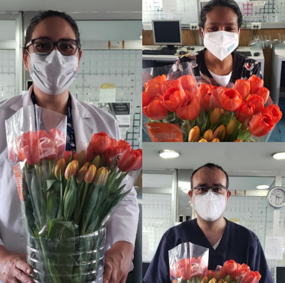 tulipanes-personal-medico-imss-paises-bajos