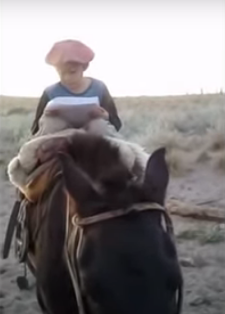 Niño de siete años sube un cerro a caballo para conseguir internet y enviar su tarea