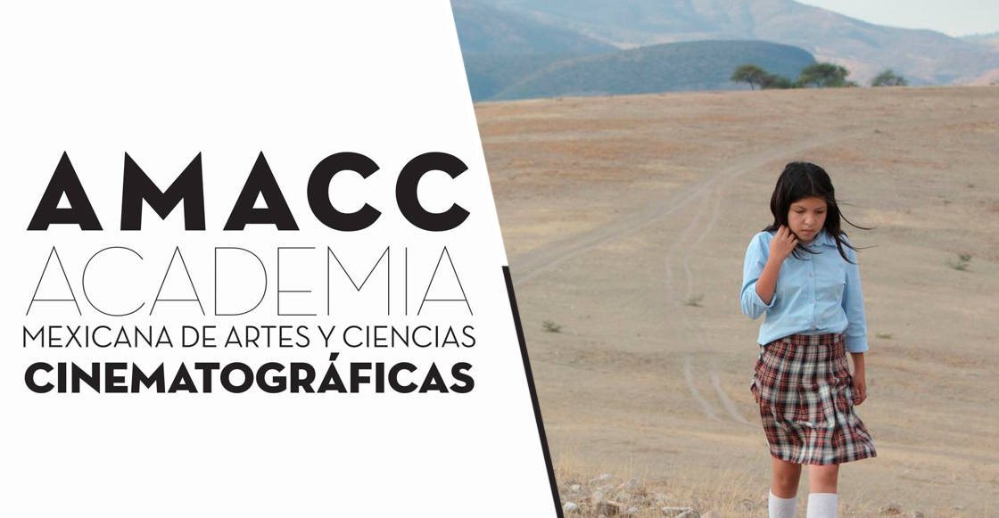 "No rompan el diálogo": Entrevista con Mónica Lozano de la AMACC sobre el FIDECINE