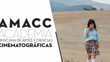 "No rompan el diálogo": Entrevista con Mónica Lozano de la AMACC sobre el FIDECINE