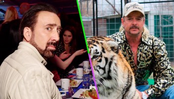 'Put... the tiger... back... in the box!' Nicolas Cage dará vida a Joe Exotic de 'Tiger King' para una serie