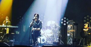 the cranberries 1