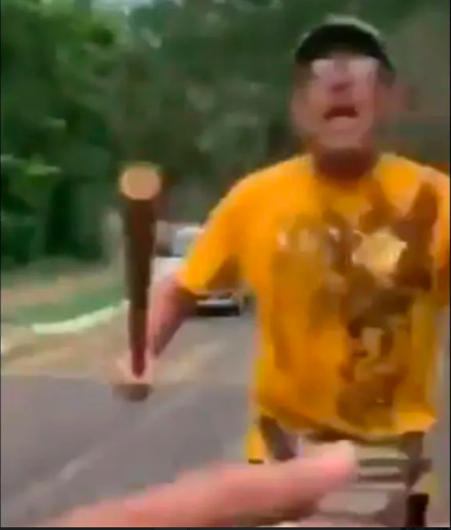 WTF?! Este loco agredió con un bat a una mujer que lo sorprendió tirando basura