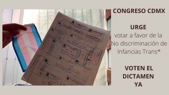 imagen-infancias-trans-peticion-congresp