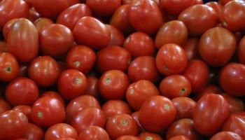 pure-tomate-marcas-profeco