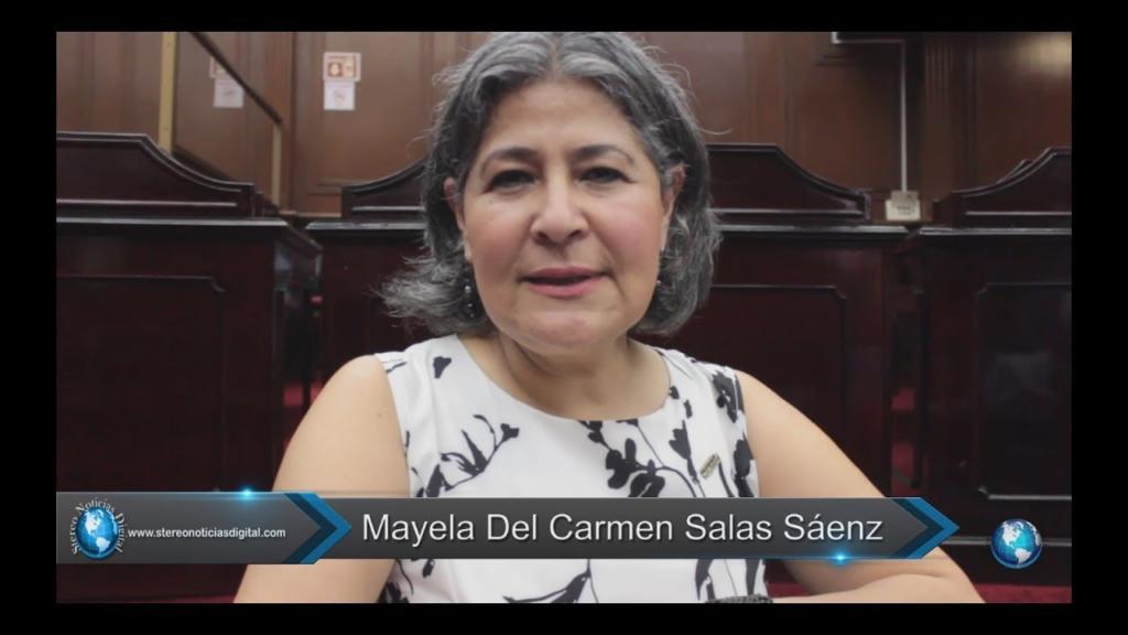 Diputada Mayela del Carmen Salas