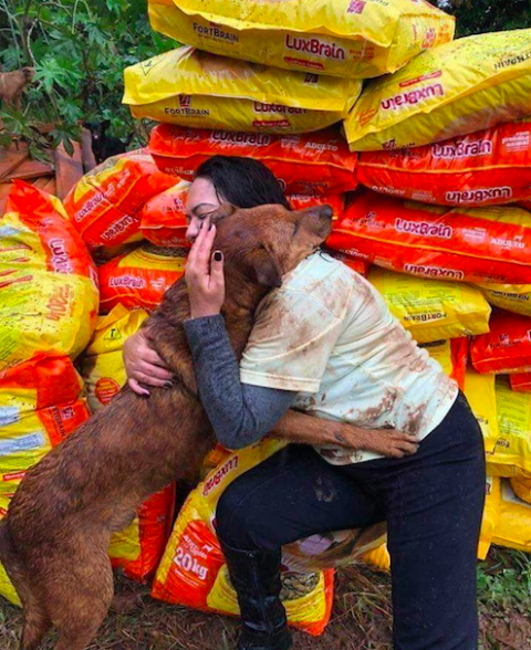 Este perrito recibió con un abrazo a la mujer que donó comida para el albergue donde vive