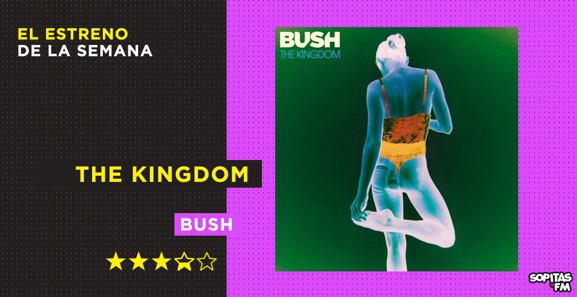 Bush y su nuevo disco The Kingdom