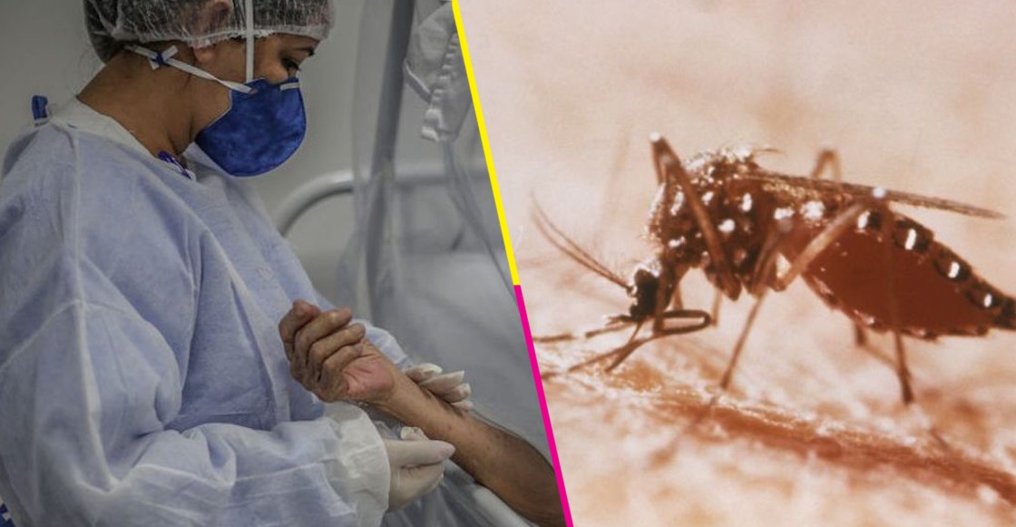 Detectan primeros casos de COVID-19 y dengue simultáneamente en Jalisco