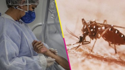 Detectan primeros casos de COVID-19 y dengue simultáneamente en Jalisco