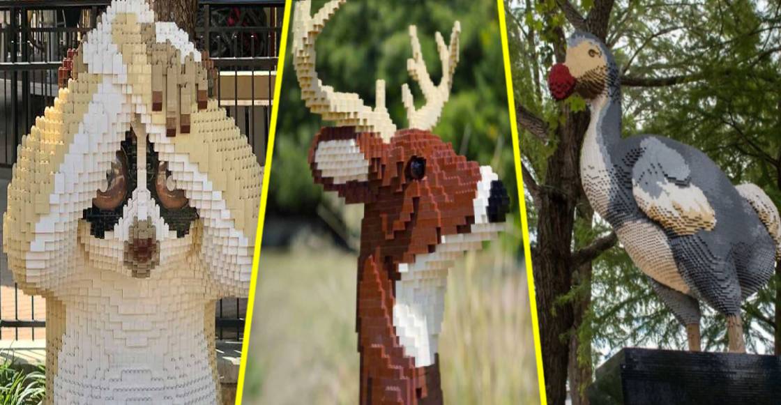 ¡Ternuringa! La increíble exposición de Sean Kenney con animales hechos con millones de piezas LEGO