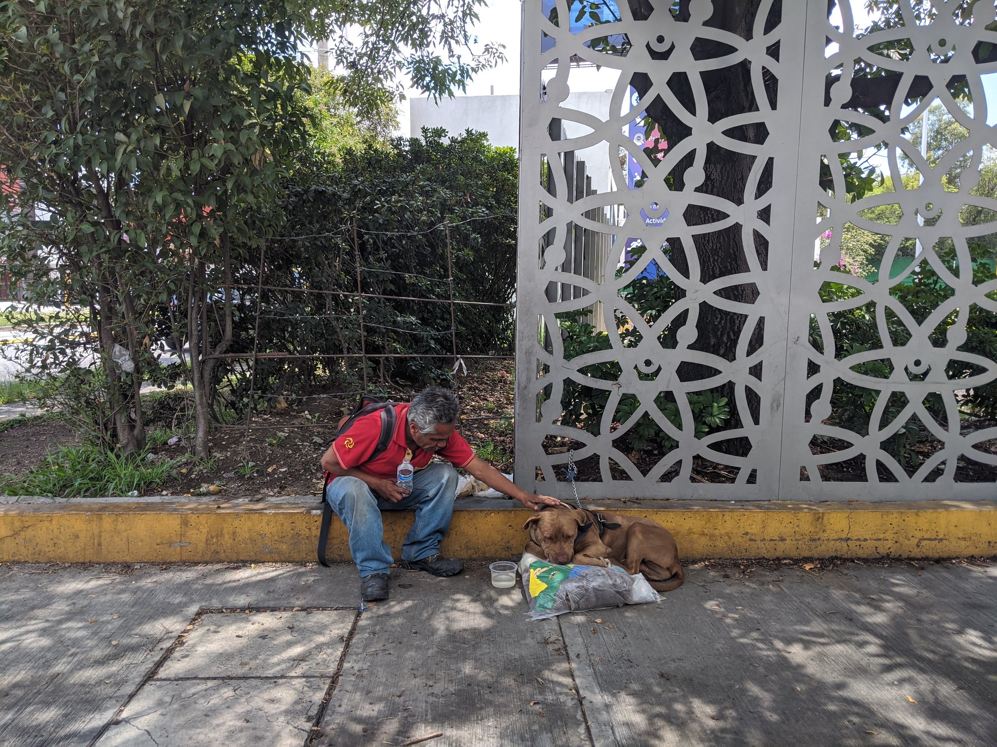Hombre y su perrito vagan por las calles de Puebla luego de perder casa y trabajo por el coronavirus