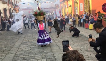 oaxaca-ciudad-festival-perro-bailando