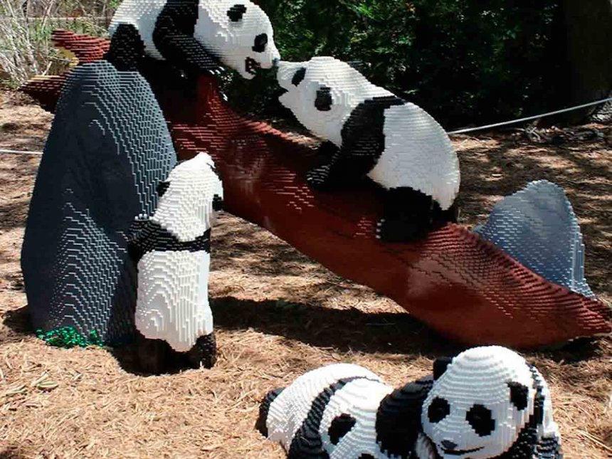 ¡Ternuringa! La increíble exposición de Sean Kenney con animales hechos con millones de piezas LEGO