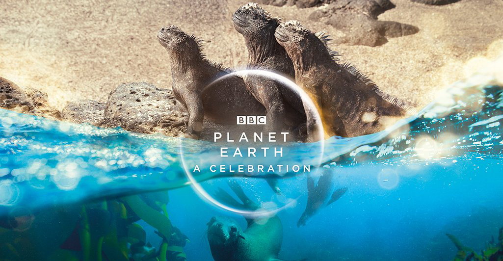 ¡David Attenborough y Hans Zimmer se juntan en el nuevo documental de 'Planet Earth'!
