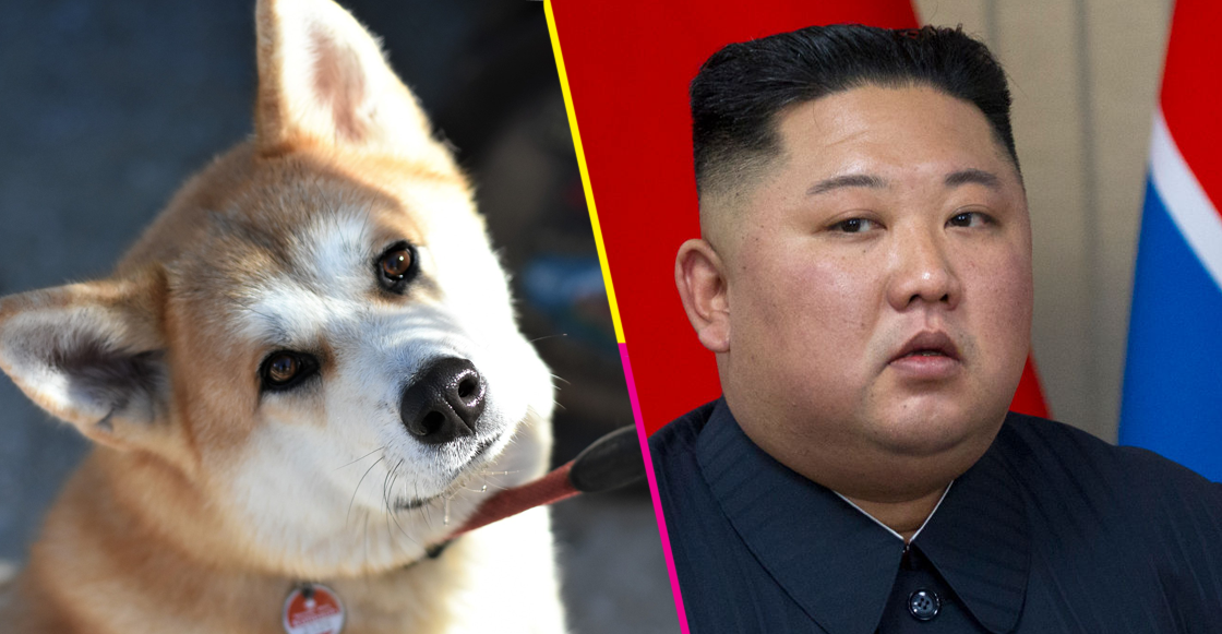 corea-del-norte-real-perritos-perros-comida-decomisan-prohibir-kim-jong-un-destacada