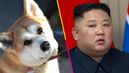corea-del-norte-real-perritos-perros-comida-decomisan-prohibir-kim-jong-un-destacada