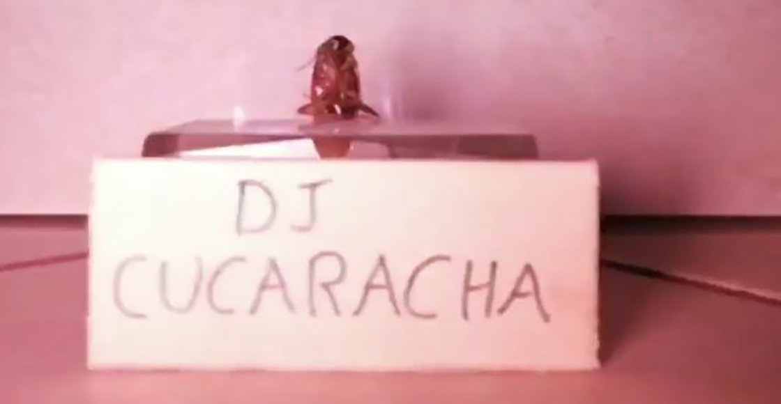 Nace una leyenda: DJ Cucaracha 'transmitió un concierto en vivo' y rompió el internet