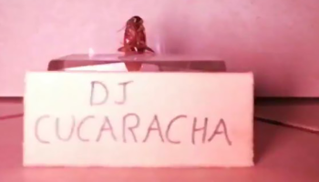 Nace una leyenda: DJ Cucaracha 'transmitió un concierto en vivo' y rompió el internet