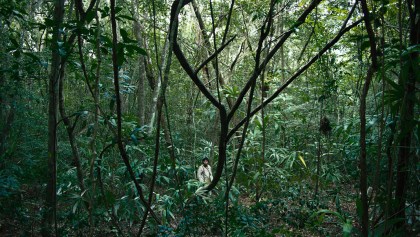 "La naturaleza siempre sale ganando": Entrevista con Yulene Olaizola por 'Selva trágica'