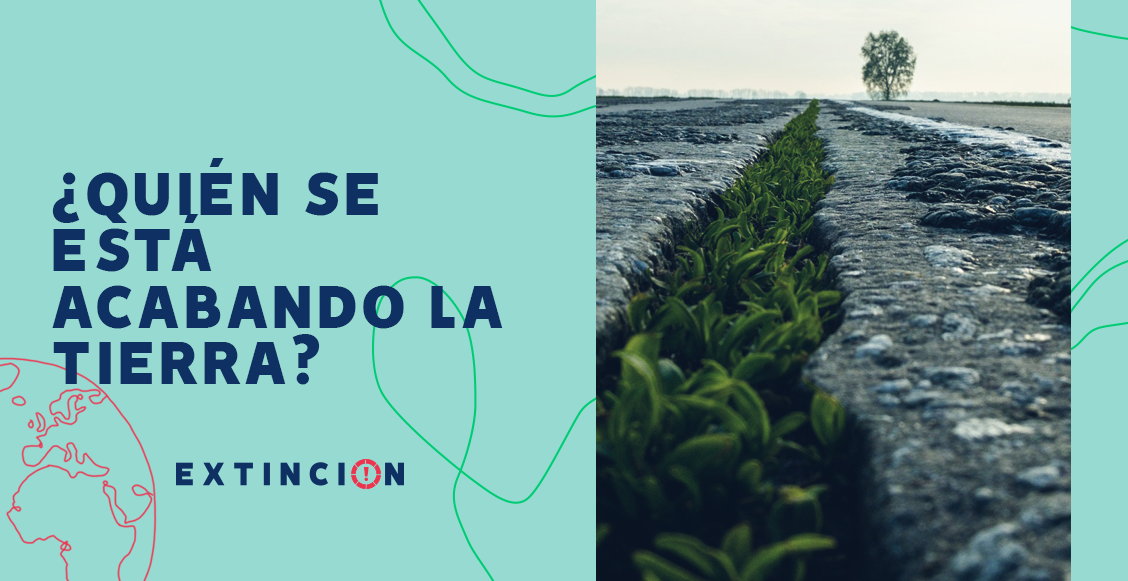 extincion-presupuesto-ecologico-tierra