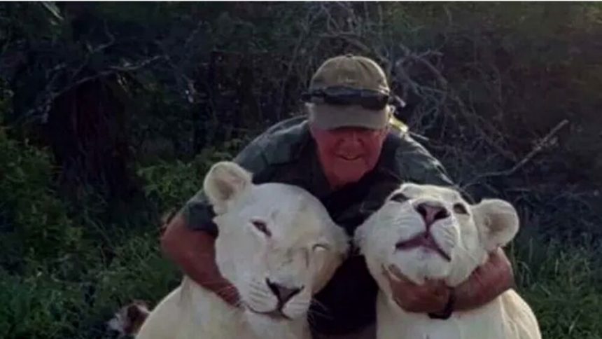 El activista West Mathewson, falleció tras ser atacado por una leona que había rescatado