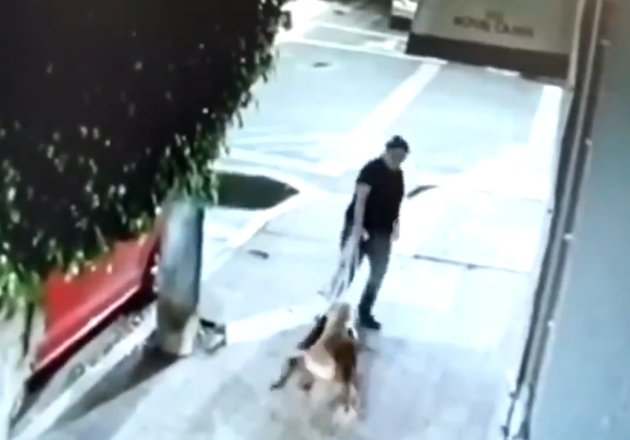 Captan el momento en que una mujer arrastra y abandona a tres perritos en la CDMX