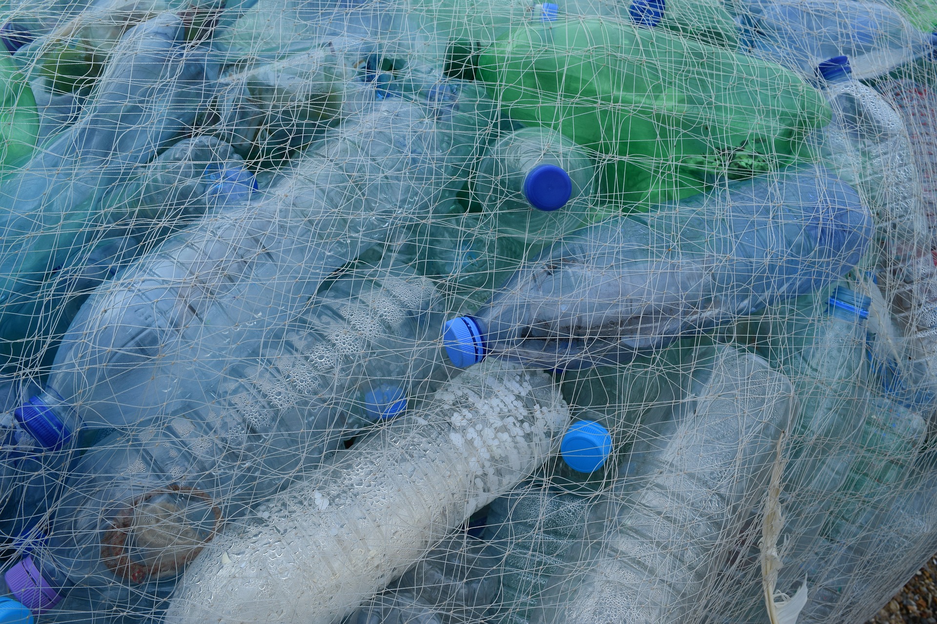 plástico contaminación desechos
