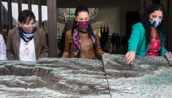 "Sin ponerlo en riesgo": Presentan proyecto de restauración para el Bosque de Chapultepec