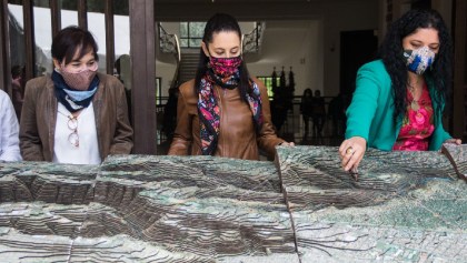 "Sin ponerlo en riesgo": Presentan proyecto de restauración para el Bosque de Chapultepec
