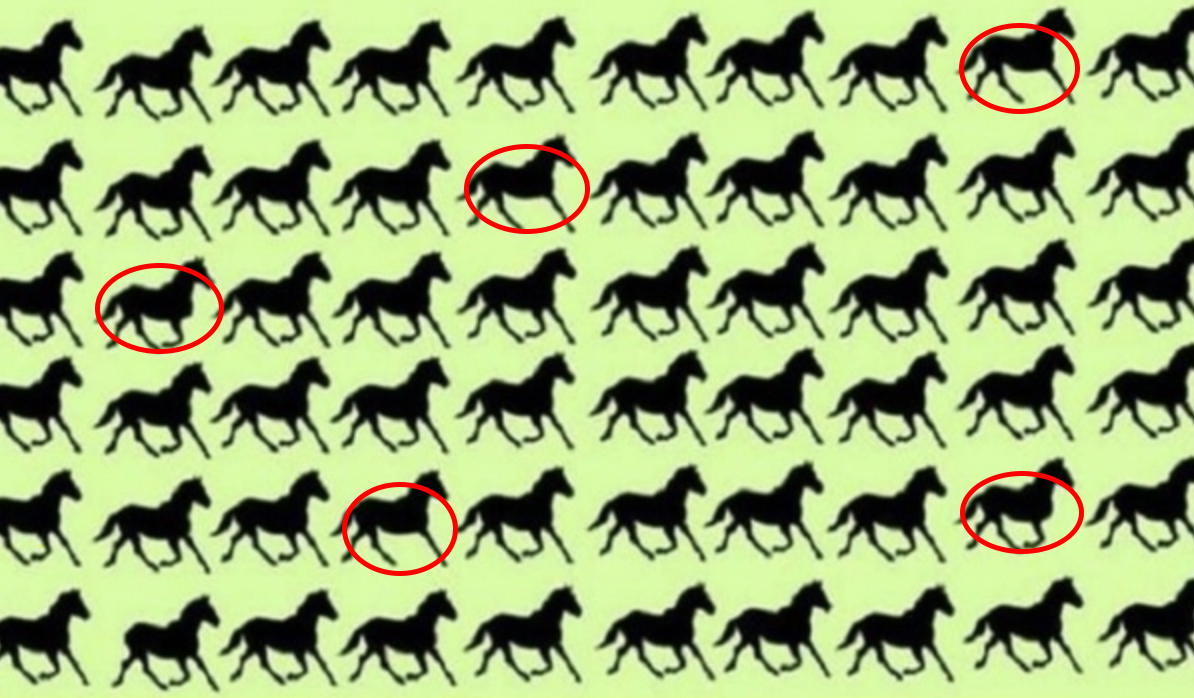 ¿Puedes encontrar los 5 caballos de tres patas en este reto viral?