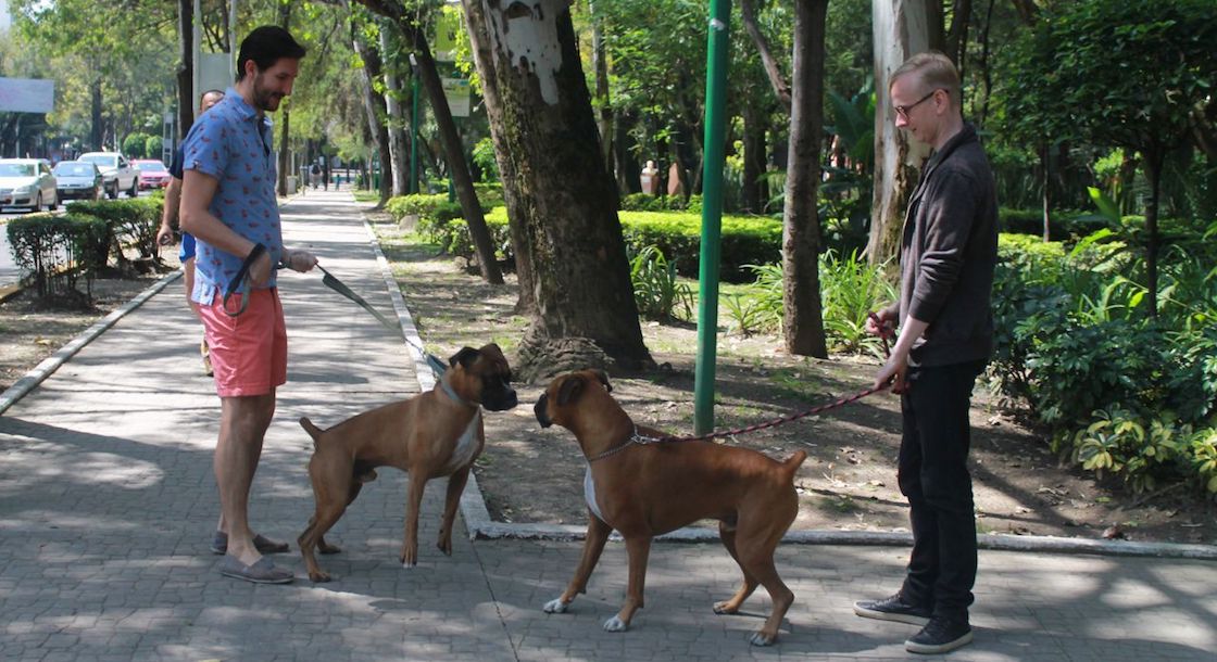 PERROS-PARQUE